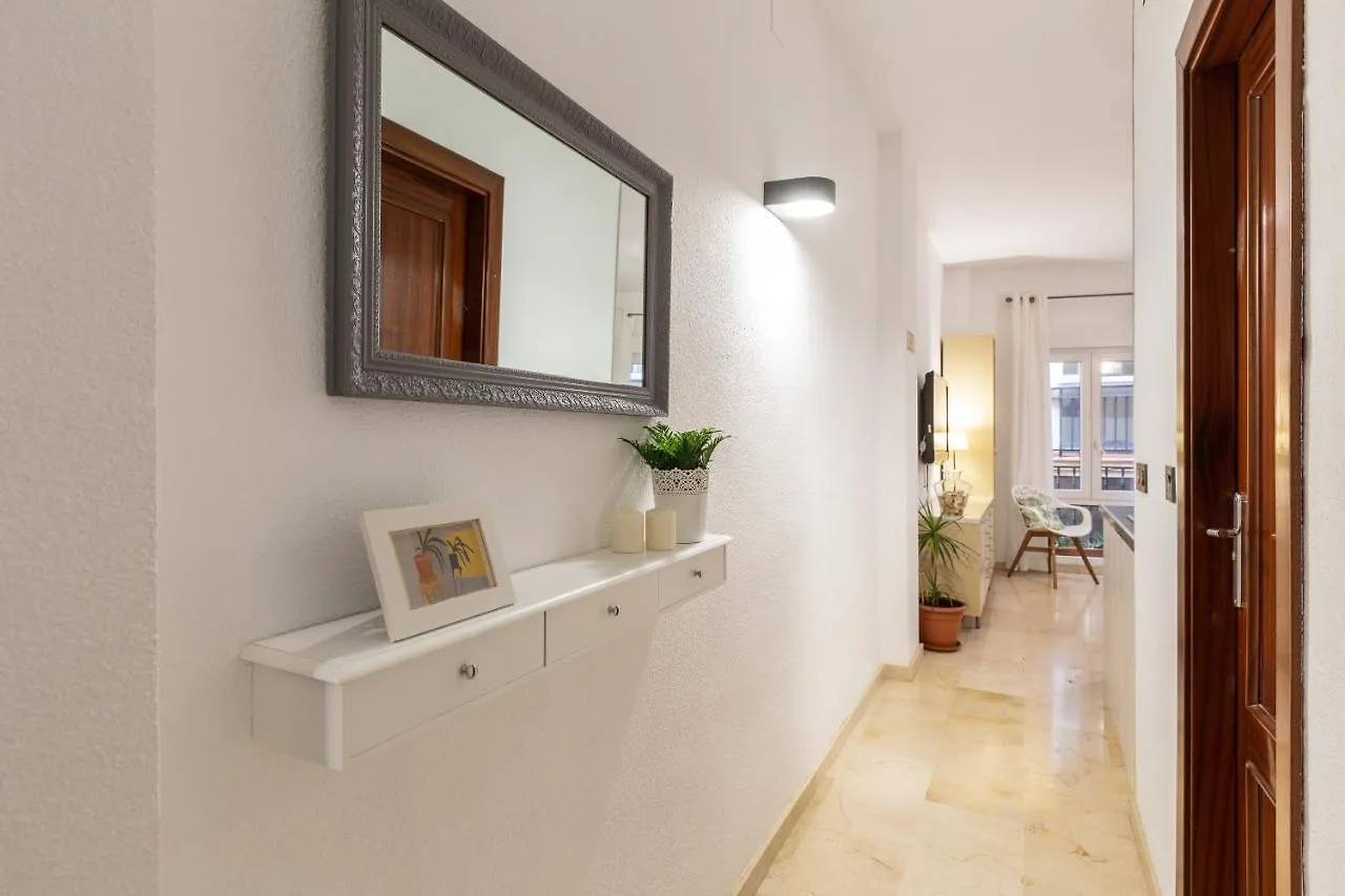 Suite Malaga Center 公寓